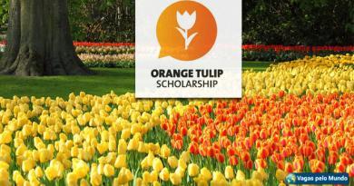 Bolsas de estudo na Holanda com aulas em inglês Bolsas de estudo na Holanda com aulas em inglês