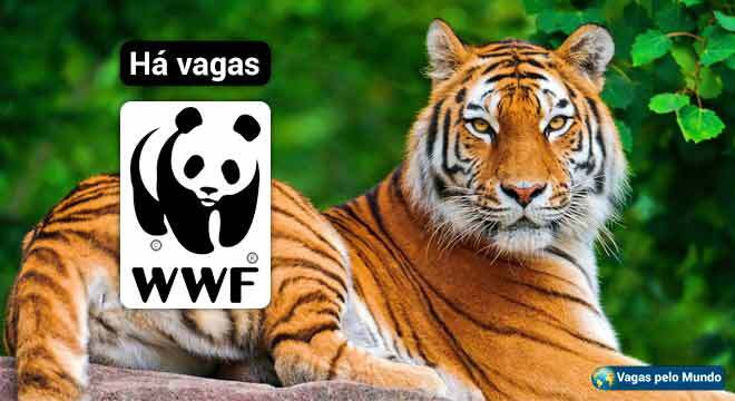 WWF esta contratando em varios paises do mundo