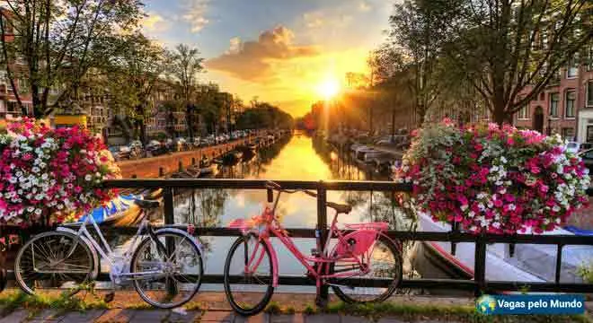 Universidade da Holanda tem bolsa de estudos aberta