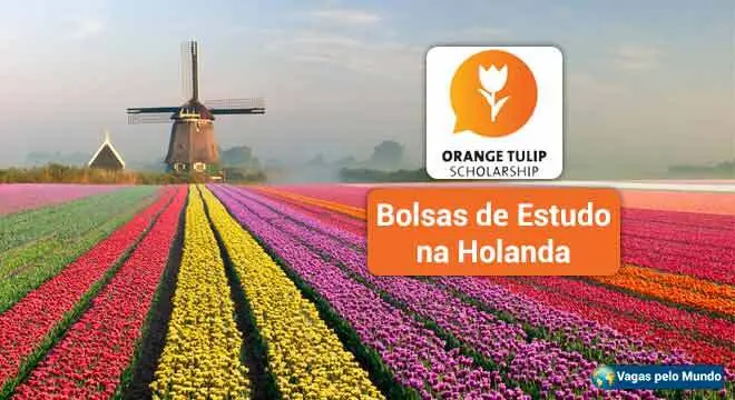 Bolsas de estudo na Holanda