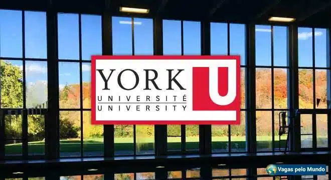 Universidade canadense esta com oferta de bolsas de estudo