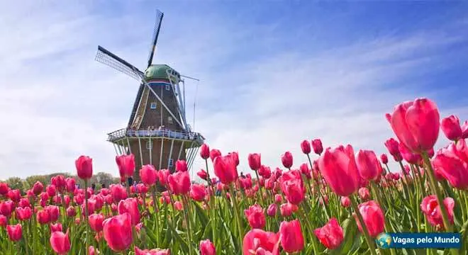 Holanda tem ofertas de emprego para quem fala portugues