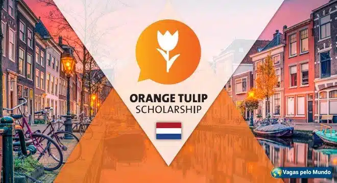 Holanda tem bolsas de estudo para brasileiros