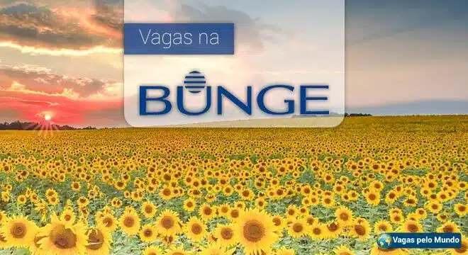 Vagas na Bunge