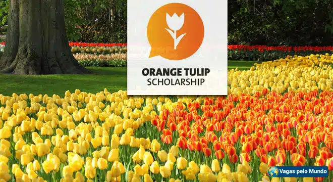 bolsas de estudo na Holanda