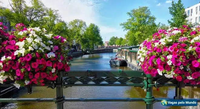 Vagas em Amsterda