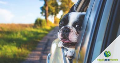 Como viajar com cachorro para Inglaterra Como viajar com cachorro para Inglaterra