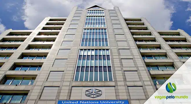 Bolsas de estudo na ONU