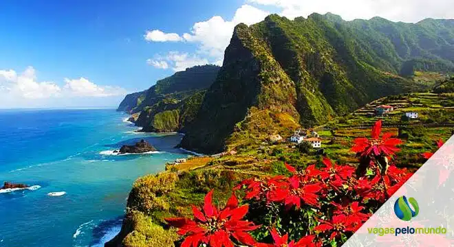 Empresa de cruzeiro na Ilha da Madeira