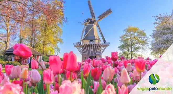 Jardins botanicos mais bonitos do mundo