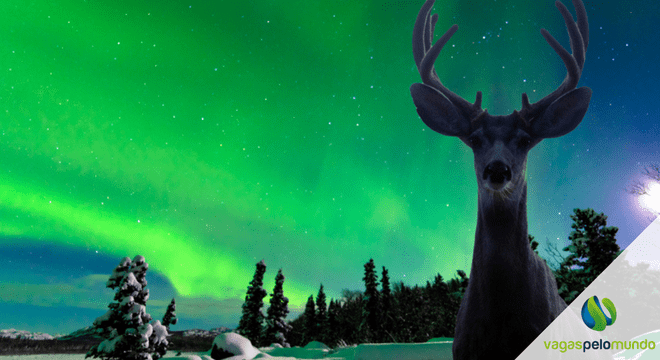 aurora boreal e perigosa