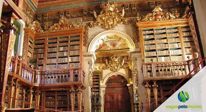 Mestrado em Coimbra