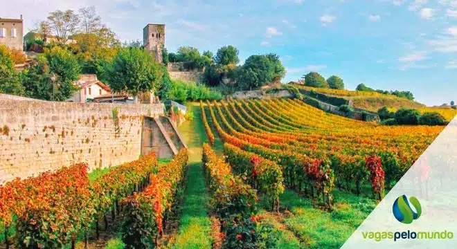 Vinícola de Saint-Émilion