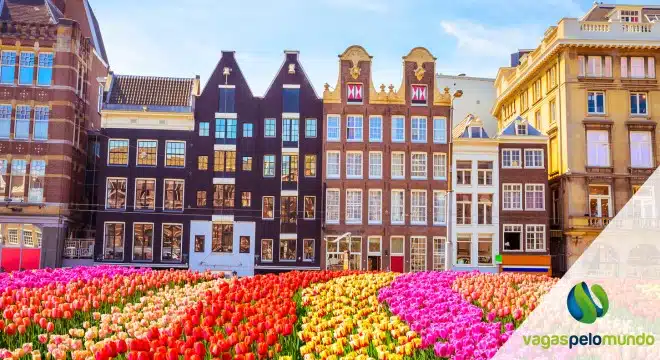 Oportunidades de emprego na Holanda