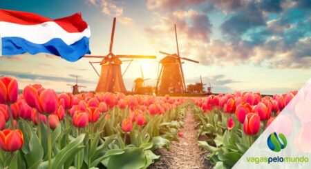 Profissionais em falta na Holanda