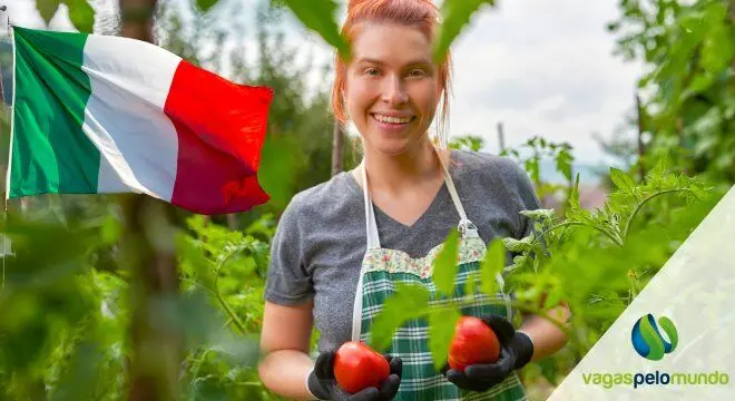 Trabalhar na Itália em colheita de tomate
