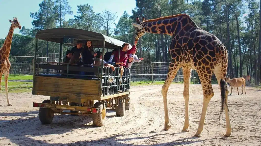 Turismo em Portugal com crianças