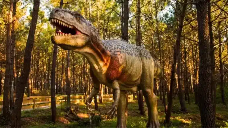 Turismo em Portugal com crianças