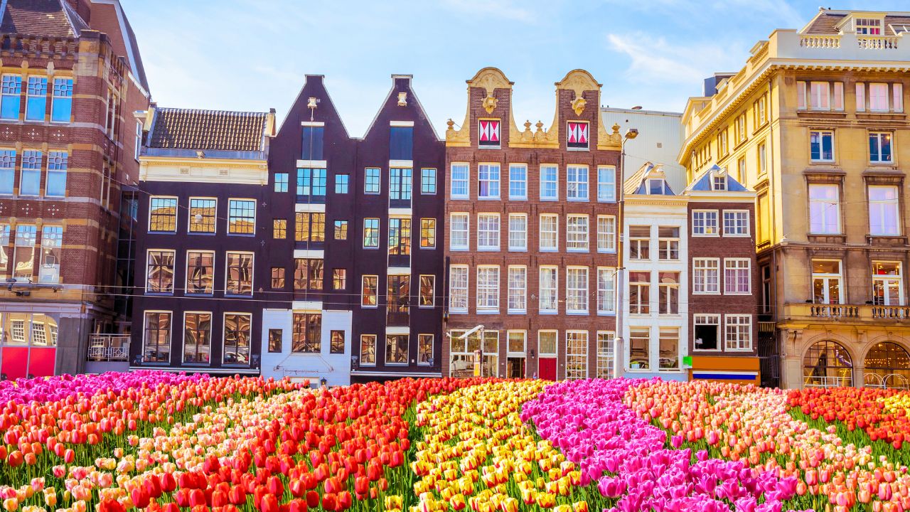 Holanda busca profissionais que falam português