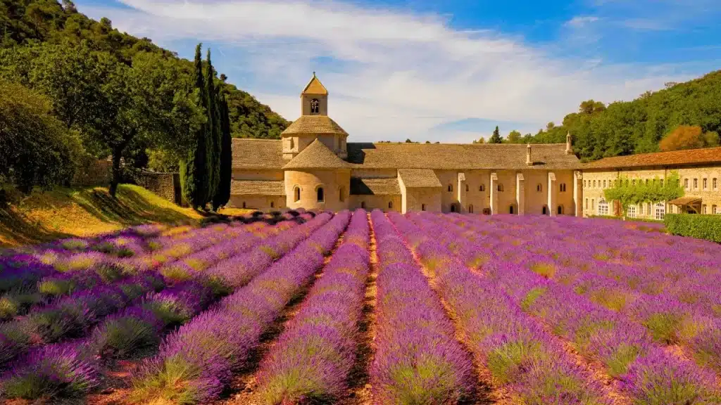 Provence França