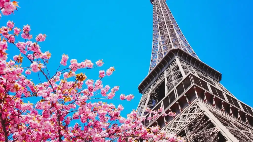 Multinacional francesa busca trabalhadores na Europa