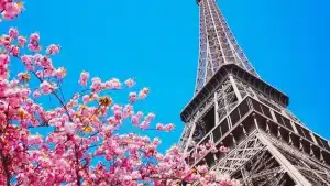 Multinacional francesa busca trabalhadores na Europa