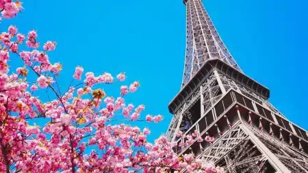 Multinacional francesa busca trabalhadores na Europa